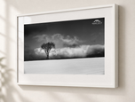 Hilltop in Gallery White frame with white archival mat