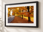 Lost in Ebonized Oak frame with white archival mat