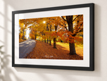 Lost in Flat Black frame with white archival mat