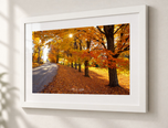 Lost in Flat White frame with white archival mat