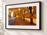 Lost in Gallery Black frame with white archival mat