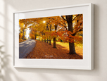 Lost in Gallery White frame with white archival mat