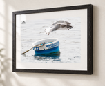 Marine Life in Ebonized Oak frame with white archival mat
