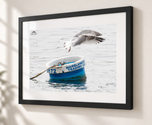 Marine Life in Flat Black frame with white archival mat