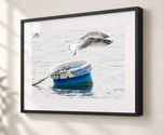 Marine Life in Gallery Black frame with white archival mat