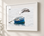 Marine Life in Gallery White frame with white archival mat