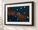 Pockets of Gold in Ebonized Oak frame with white archival mat