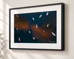 Pockets of Gold in Gallery Black frame with white archival mat