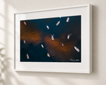 Pockets of Gold in Gallery White frame with white archival mat