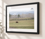 Prelude to Winter in Flat Black frame with white archival mat