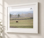Prelude to Winter in Flat White frame with white archival mat