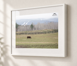 Prelude to Winter in Gallery White frame with white archival mat