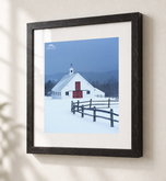 Red, White & Blue in Ebonized Oak frame with white archival mat