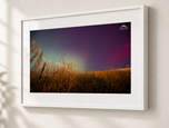 Riverhead Beach Aurora in Gallery White frame with white archival mat