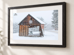 Rustic Snowglobe in Ebonized Oak frame with white archival mat