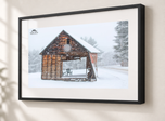 Rustic Snowglobe in Gallery Black frame with white archival mat