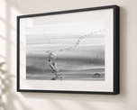 Winter Paths in Gallery Black frame with white archival mat