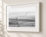Winter Paths in Gallery White frame with white archival mat