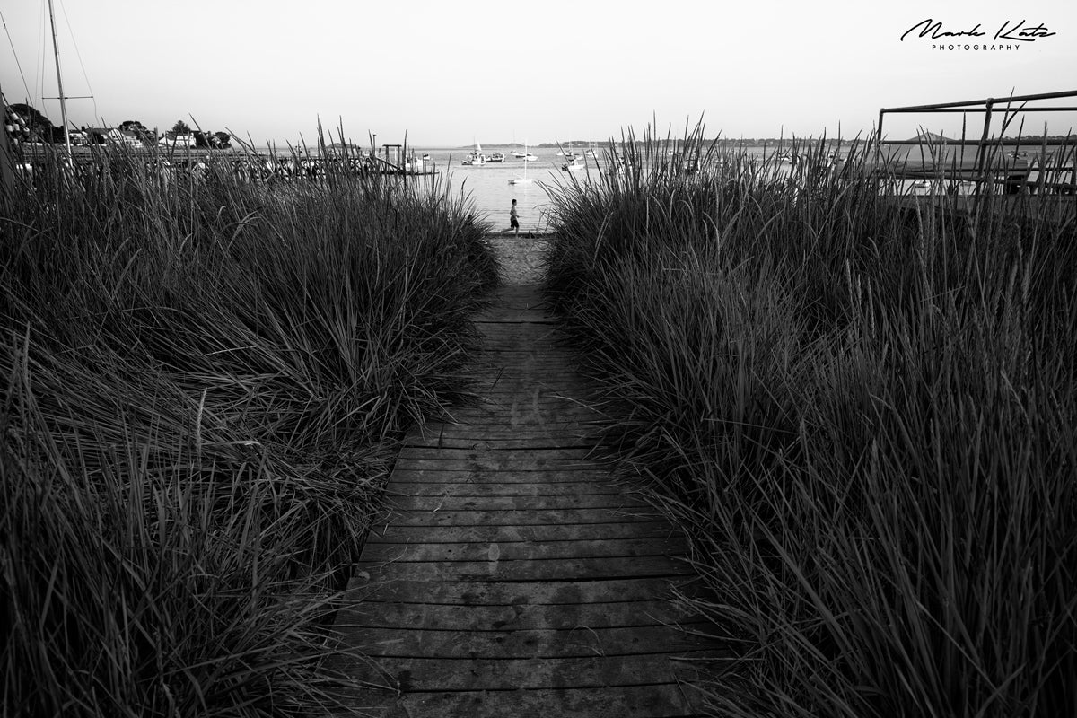 Stride By-Mark Katz Photography