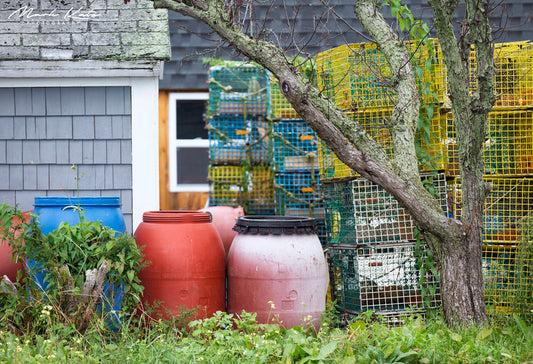 Cozy patio overlooking ocean, inviting backyard by the sea captured in coastal fine art photography.