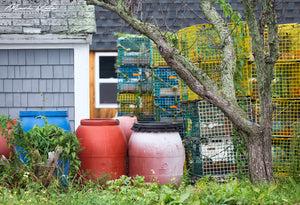 Backyard by the Sea