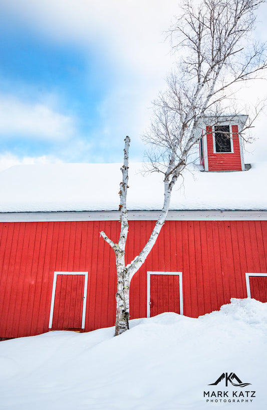 Vibrant red barn under blue sky, classic New England architecture captured in fine art photography.