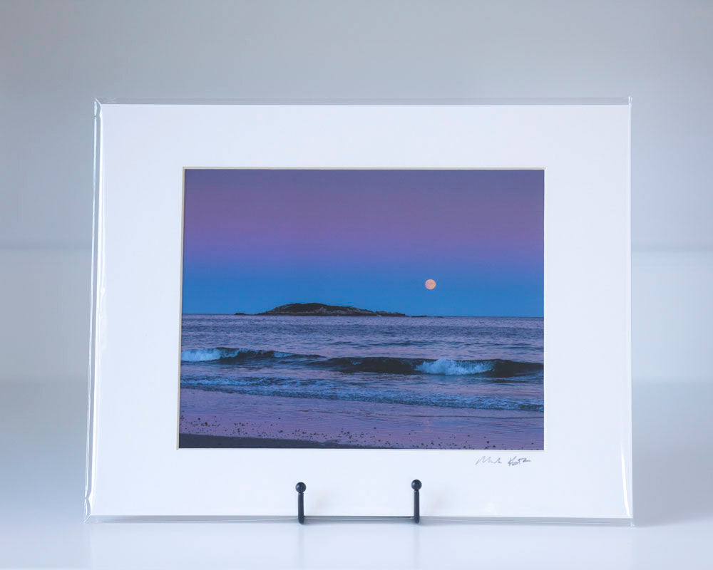 Pop-Up Gallery 8 x 10" matted and signed prints-Mark Katz Photography