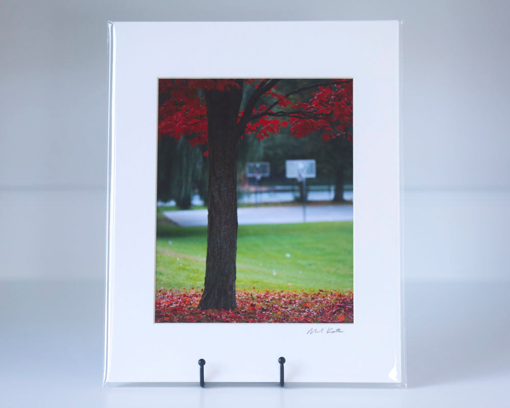 Pop-Up Gallery 8 x 10" matted and signed prints-Mark Katz Photography