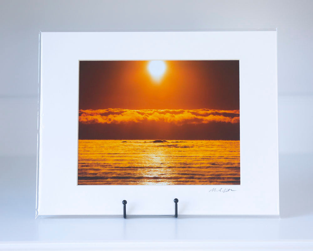 Pop-Up Gallery 8 x 10" matted and signed prints-Mark Katz Photography