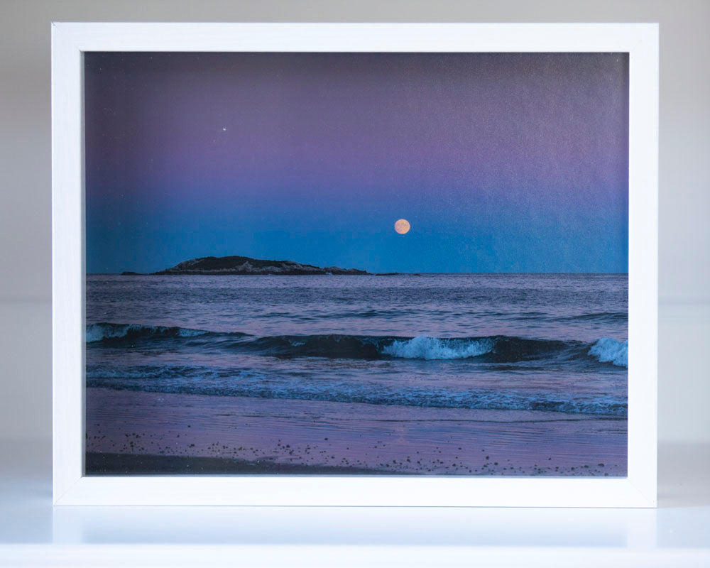 Pop-Up Gallery: 11 x 14" prints in shadowbox frames