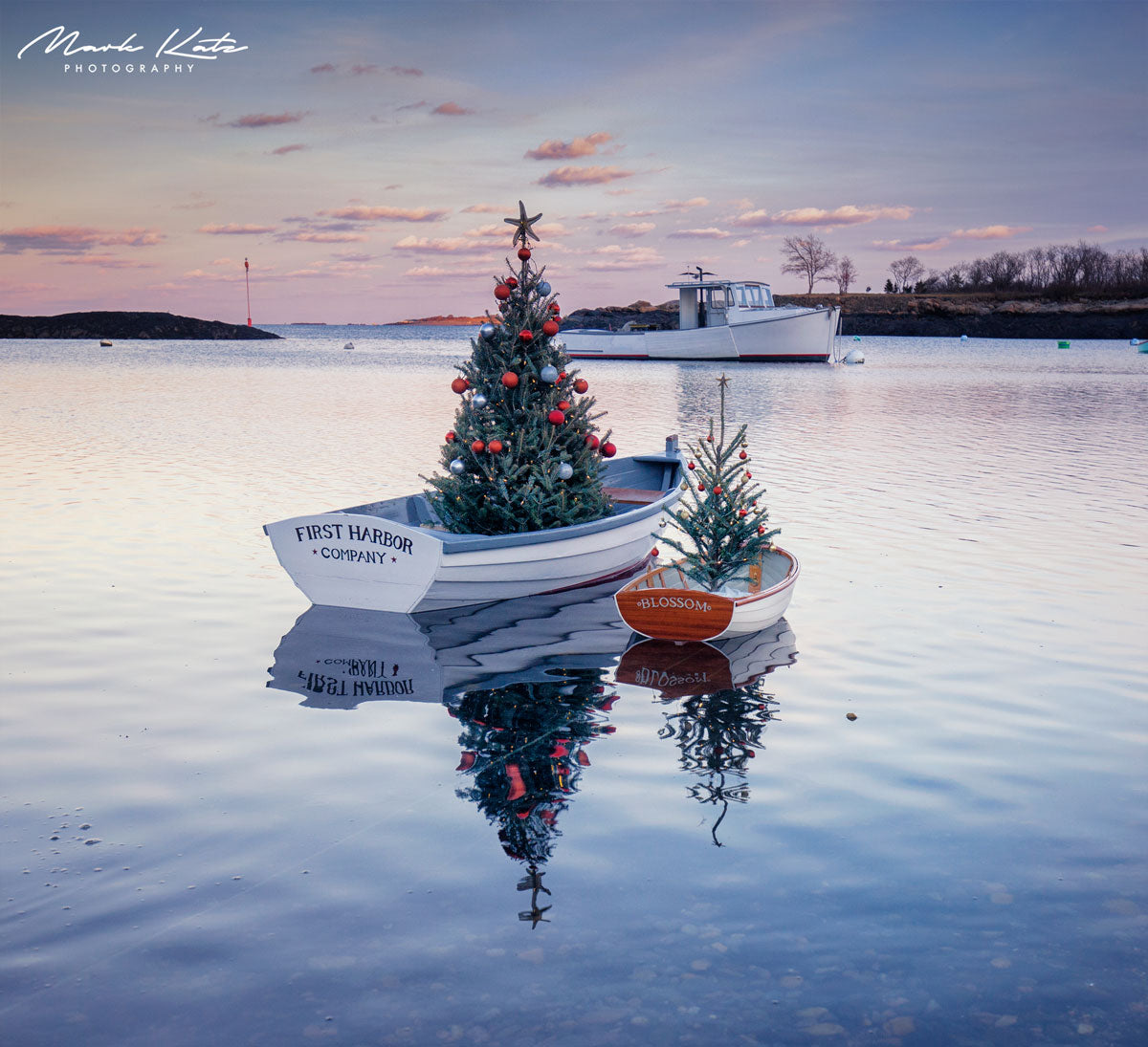 Florida Photos-Mark Katz Photography