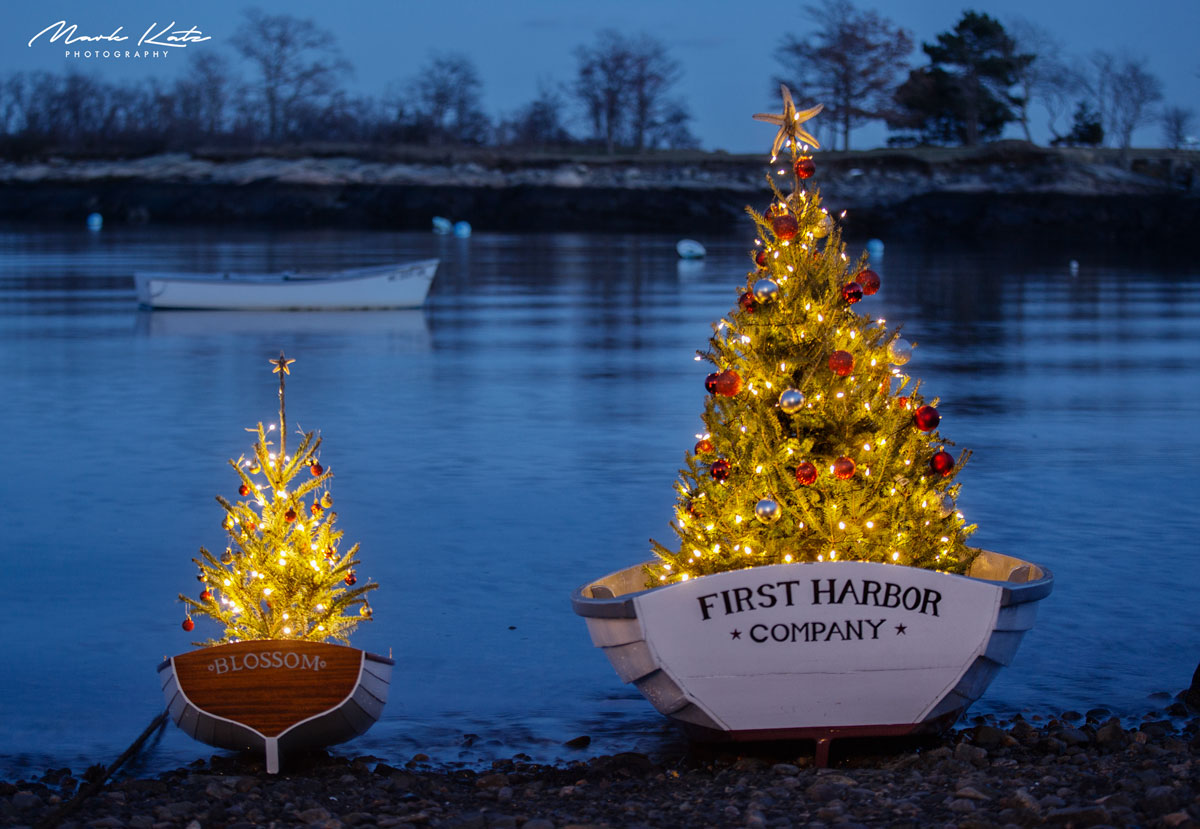 Florida Photos-Mark Katz Photography