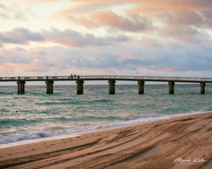 Florida Photos