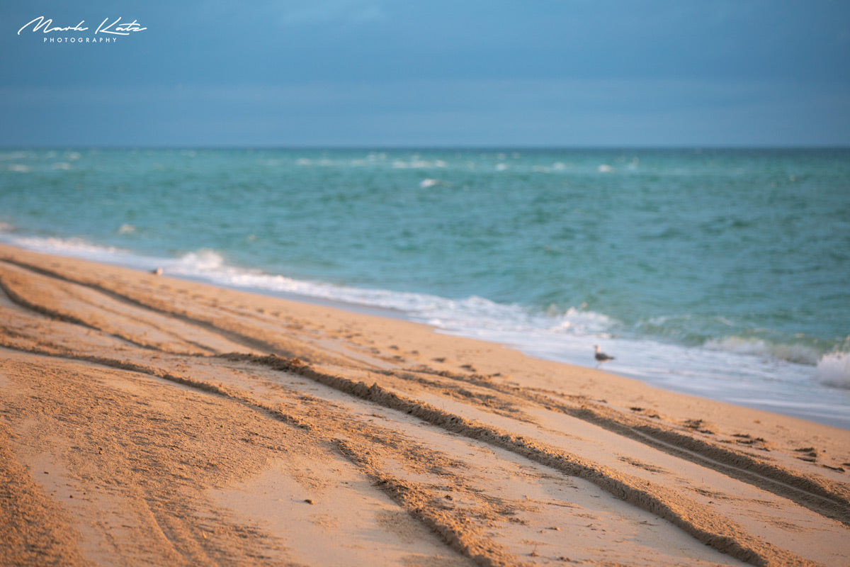 Florida Photos-Mark Katz Photography