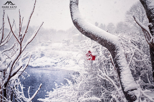 Snowy red bird feeder nestled in winter landscape, cozy fine art photography for seasonal decor.
