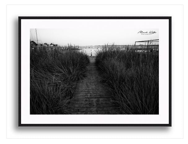 Stride By-Mark Katz Photography