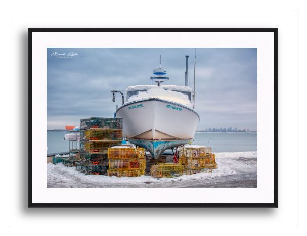 Coastal Winters