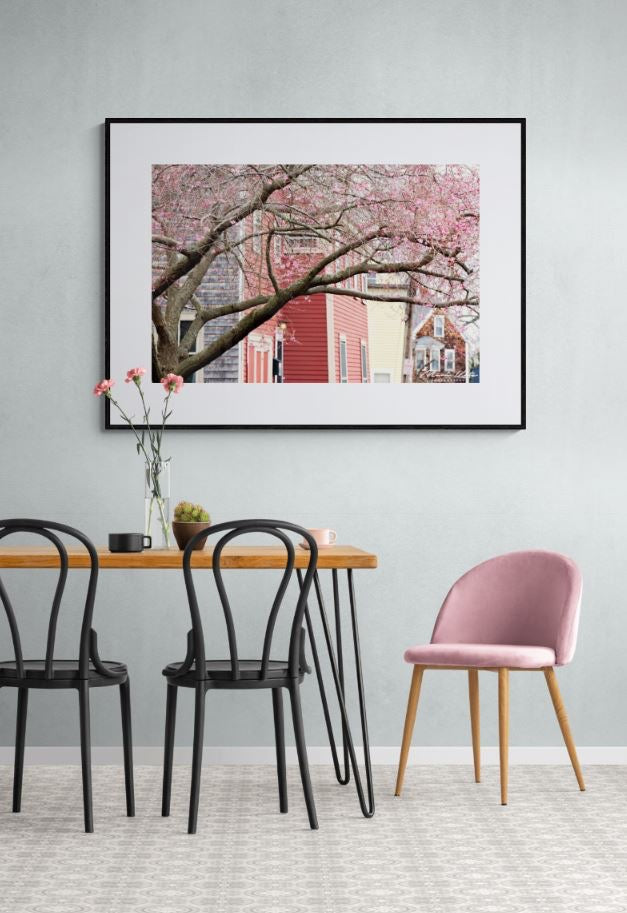 Spring by the Sea-Mark Katz Photography