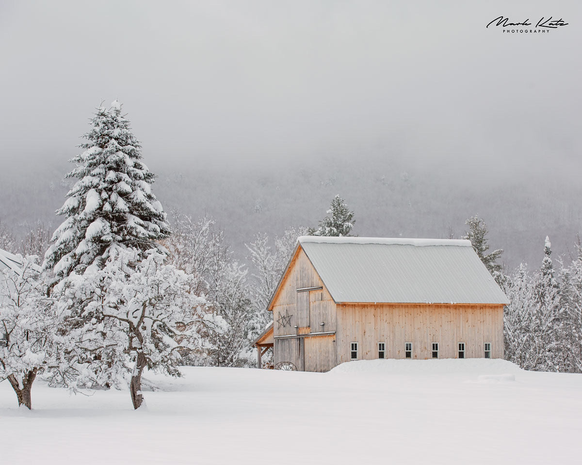 Winter Escape