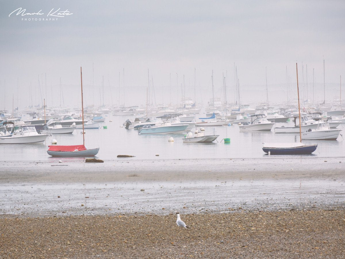 Calm ocean reflecting soft morning skies, serene morning mood fine art seascape photography.