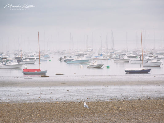 Calm ocean reflecting soft morning skies, serene morning mood fine art seascape photography.