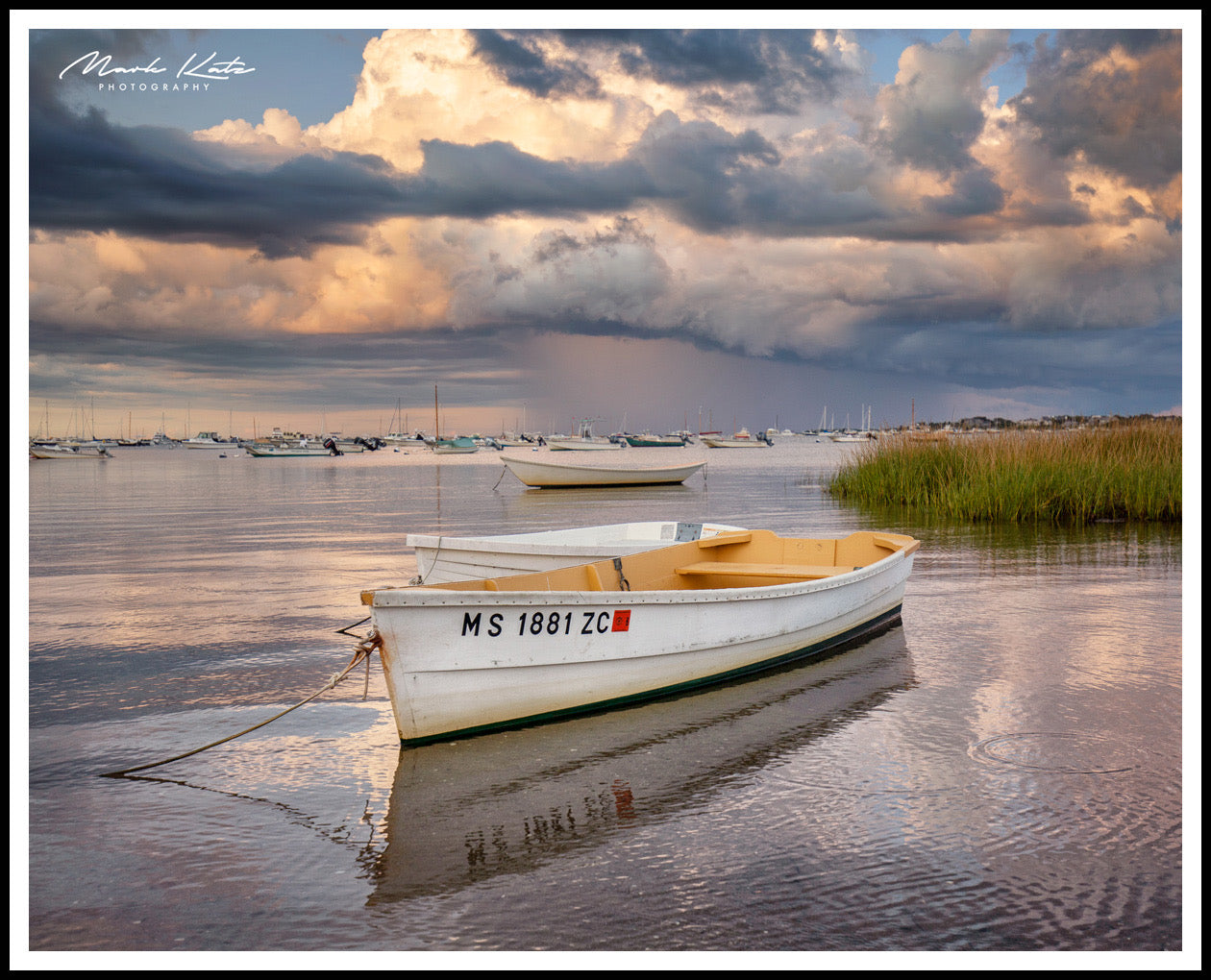 Near Miss-Mark Katz Photography