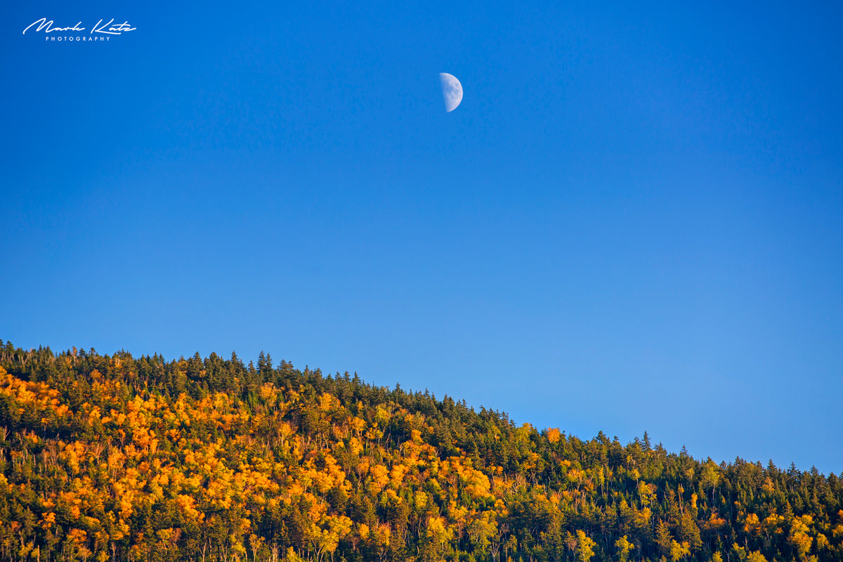 White Mountains glowing under golden light, stunning golden landscape fine art photography for rustic interiors.