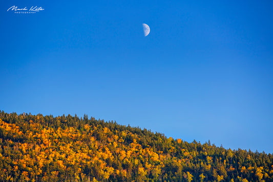White Mountains glowing under golden light, stunning golden landscape fine art photography for rustic interiors.