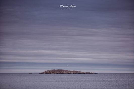 Smooth pastel ocean waters creating peaceful oceanic oasis, minimalist fine art photography for coastal homes.