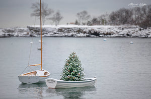 Winter on the Harbor