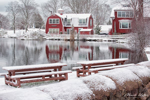 Redd's Pond Snowscape
