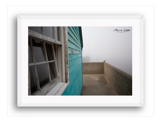 New England Immersion-Mark Katz Photography