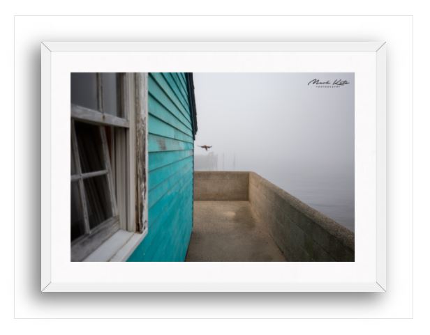 New England Immersion-Mark Katz Photography