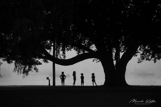 Stunning black and white photography of silhouetted children hanging out beneath a large tree branch 
